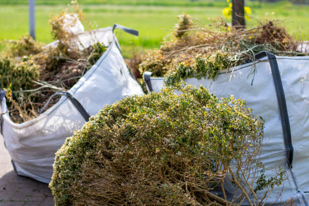Best Junk Hauling Services  in Morgantown, PA